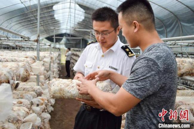 中国食用菌主要出口到哪里