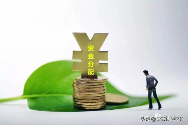 乡镇大额资金支出应当由谁审批