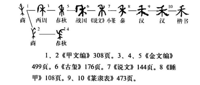 只字的由来