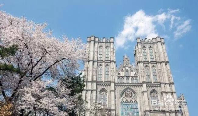 去韩国圆光大学留学好吗