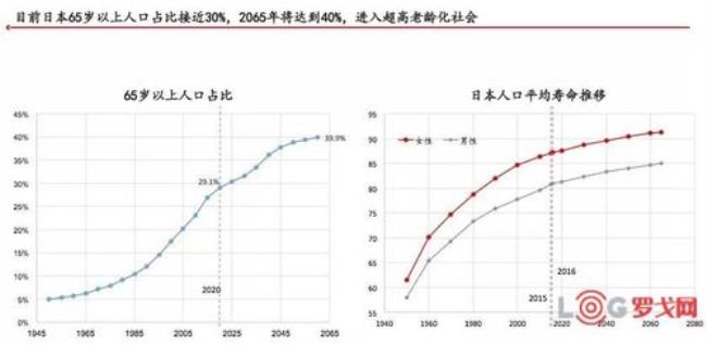 日本各民族人口比例