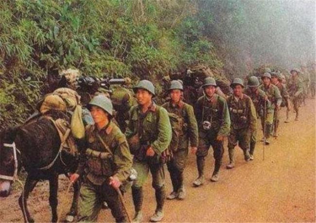 越南战争越南占了多少土地