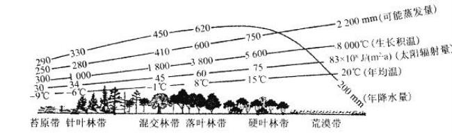 南北极自然带差异