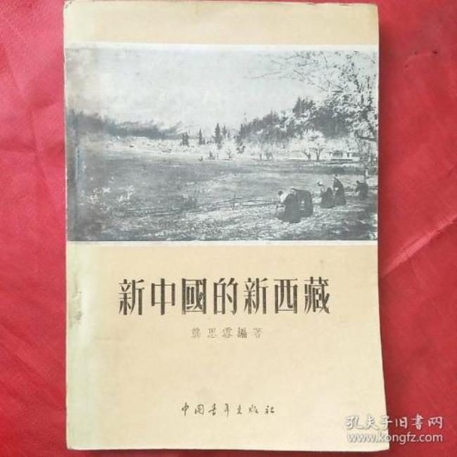 1955年的西藏是什么制度