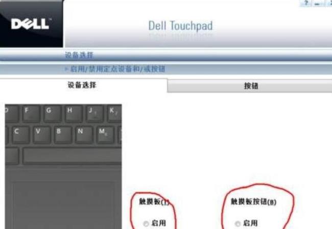 dell笔记本鼠标触摸板怎么打开