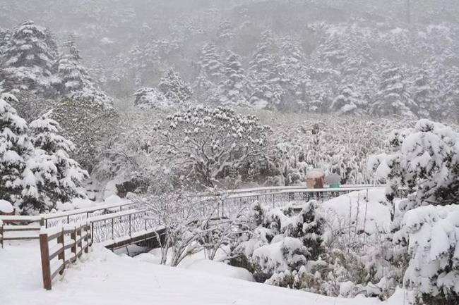 中国最大的三场雪