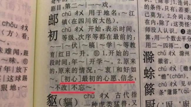 膜在字典中的意思