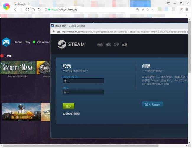 steam打不开游戏显示异常