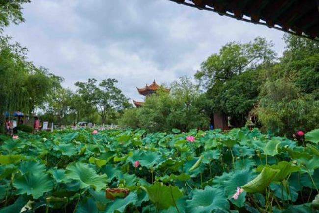 雨后的古代别称