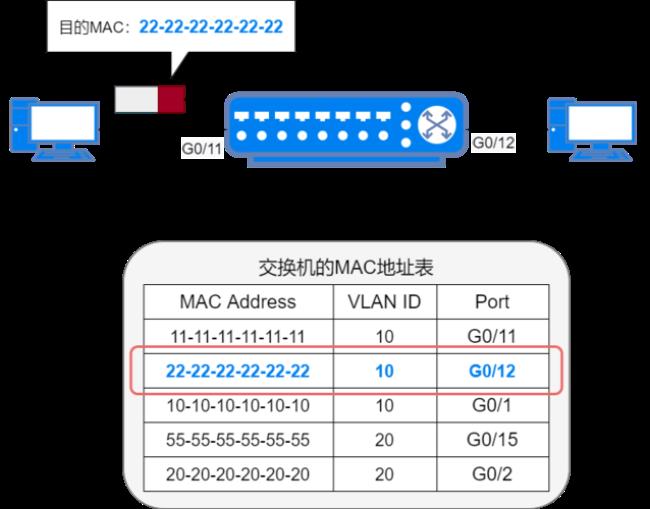 不同网段和vlan有什么区别