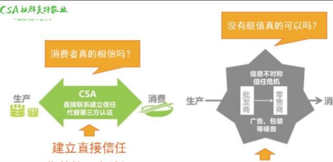 CSA是什么时候建立的