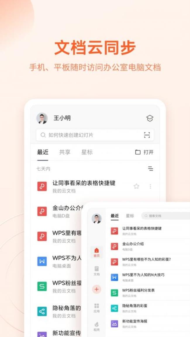 支付宝金山wps是什么