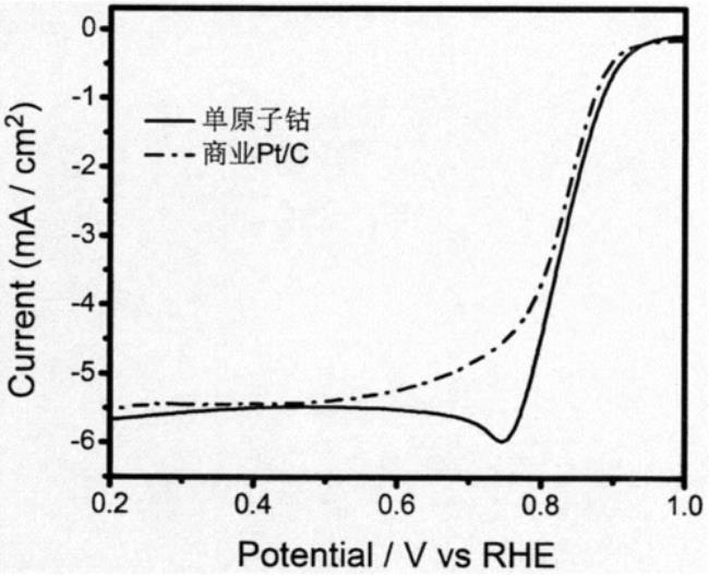 钴的相对原子