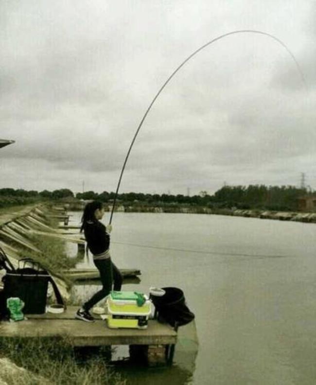 四海钓鱼技巧