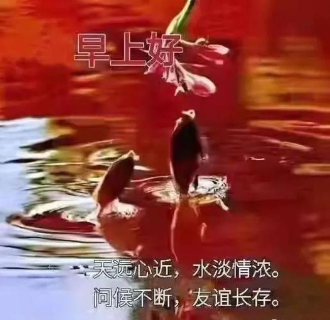 天远心近水淡情浓的意思