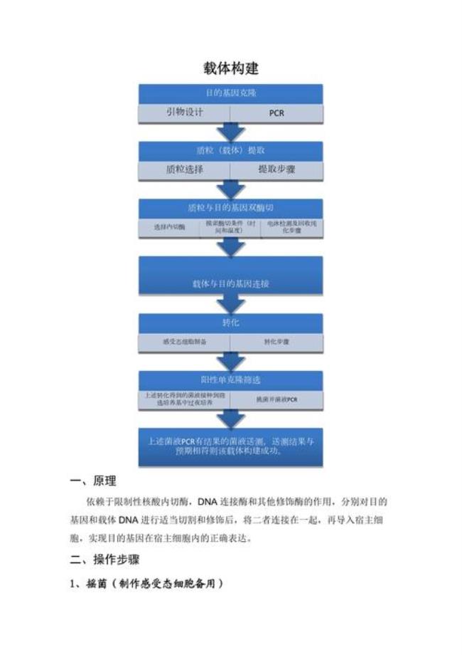 18t载体连接步骤