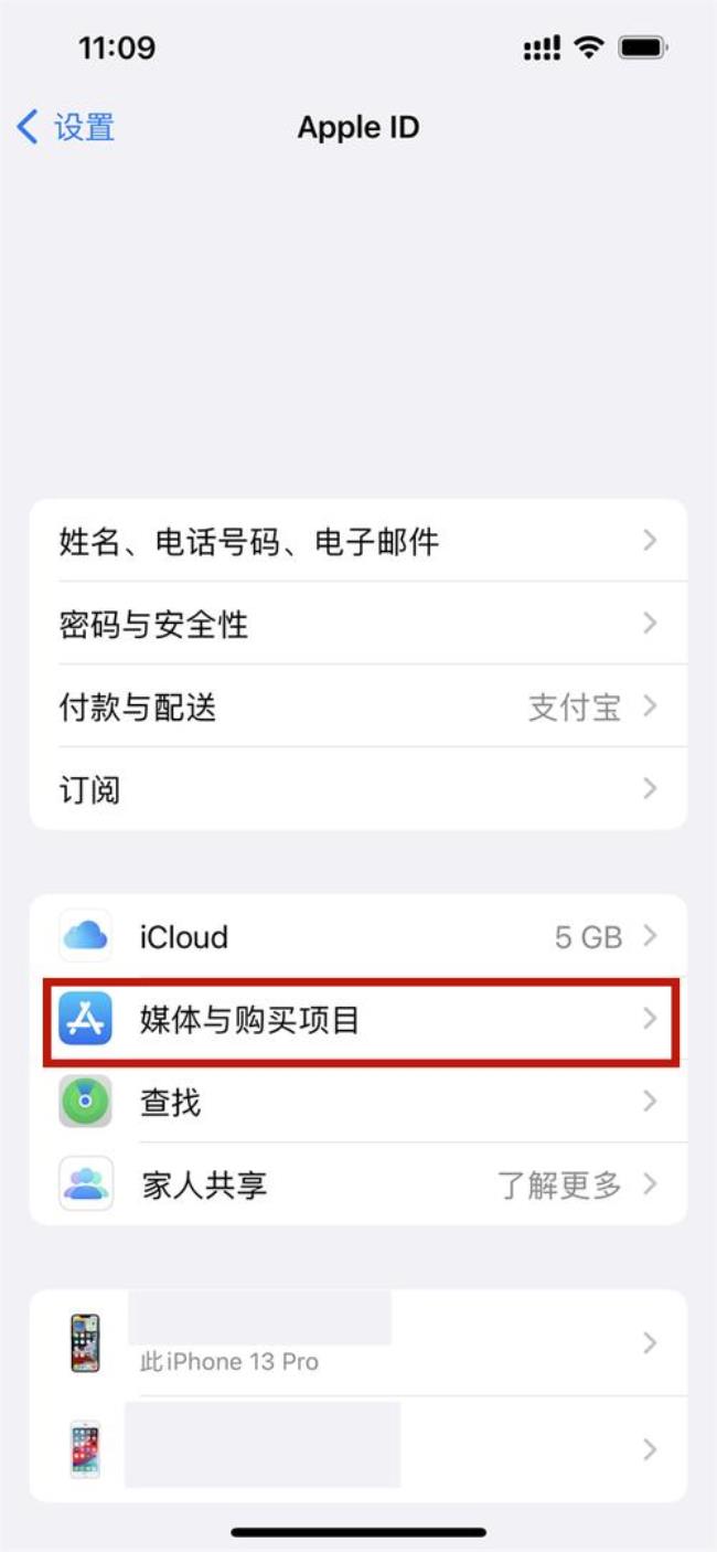 教你如何在iPad和iPhone中隐藏应用