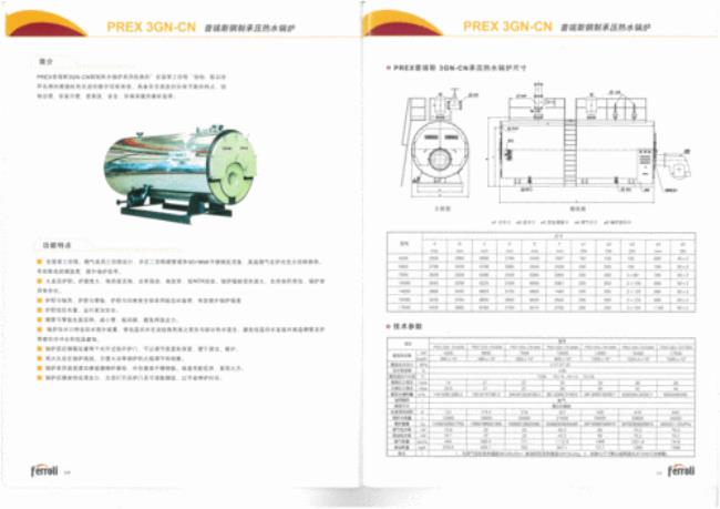 ferroli锅炉说明书