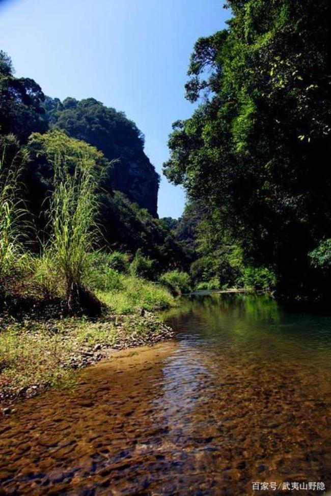 唐代青山绿水形成原因