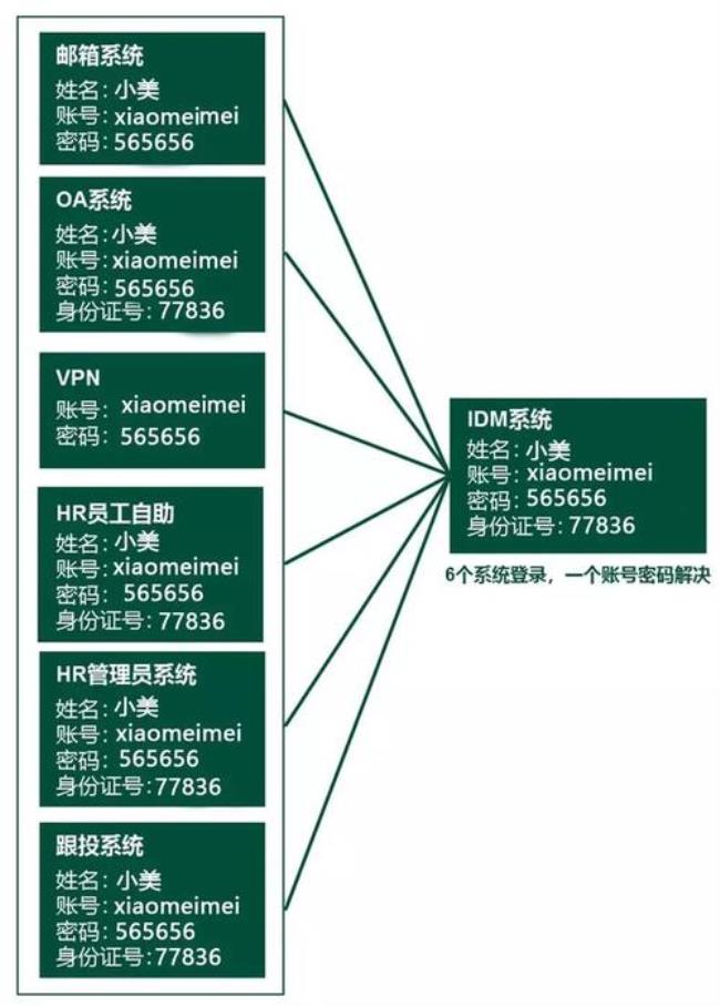 idm是什么公司的