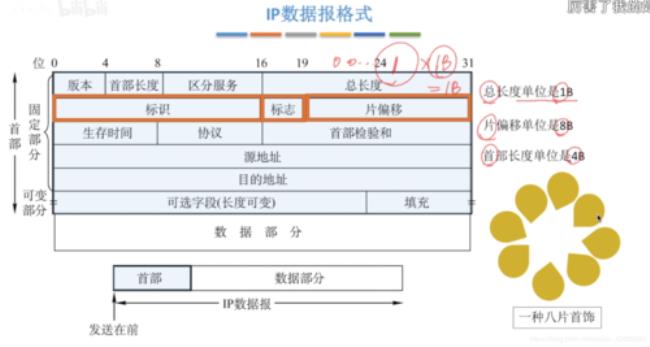 IP数据包的格式