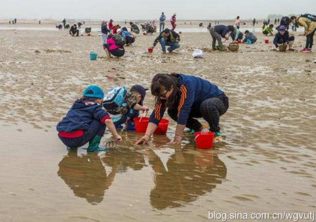 山东日照有什么地方能赶海吗