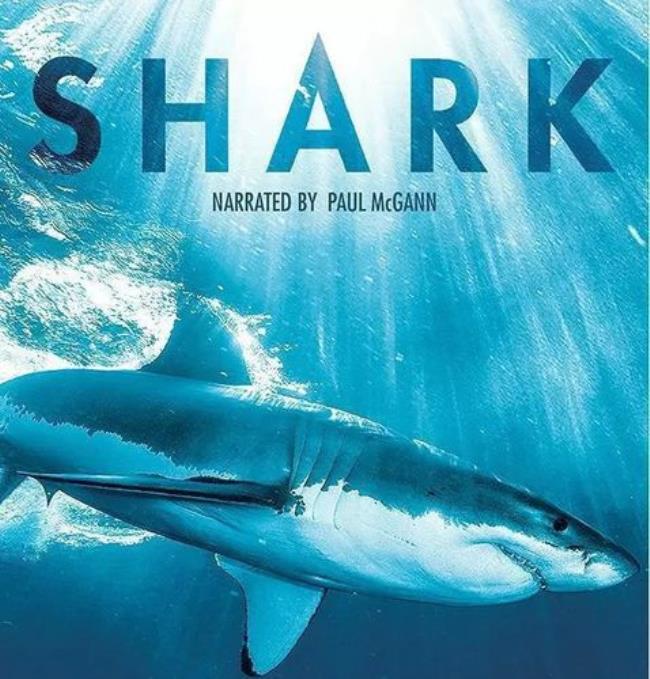 关于鲨鱼的电影有哪些
