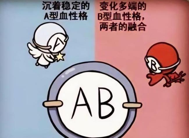 两个b型血的人生的孩子什么血型