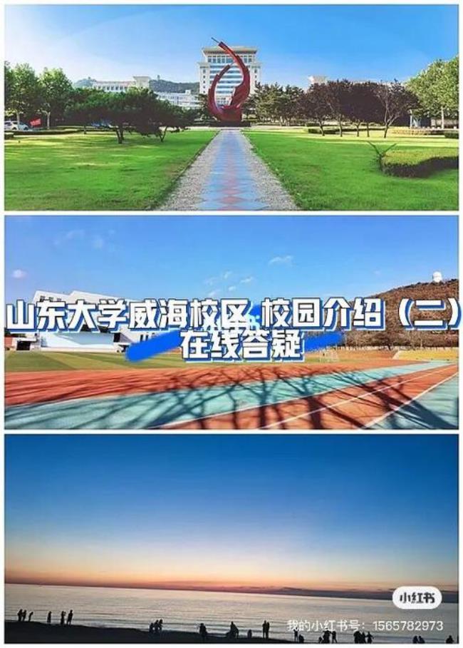 威海山大附属中小学怎么样