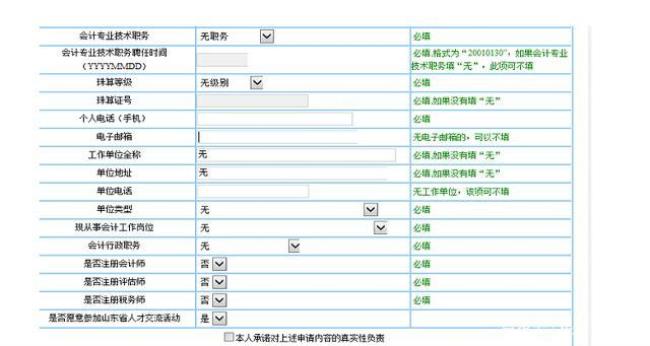 村委会单位性质怎么填