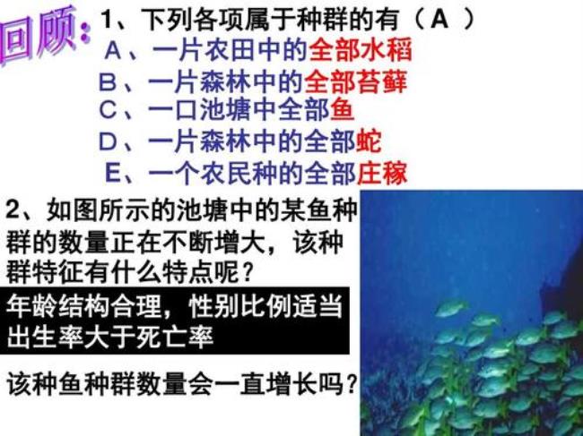 种群和群落属于同一层次吗