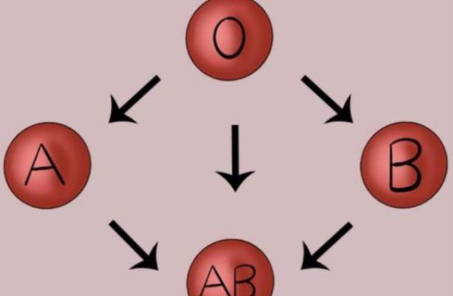 RH阴性AB型血都有什么性格
