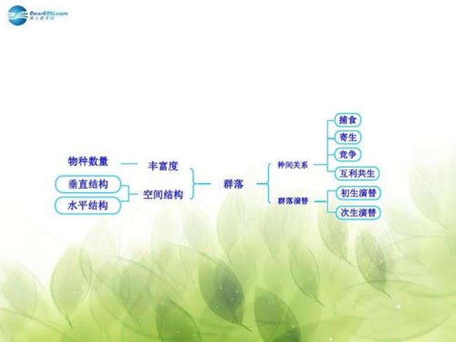 生态系统的垂直结构和水平结构