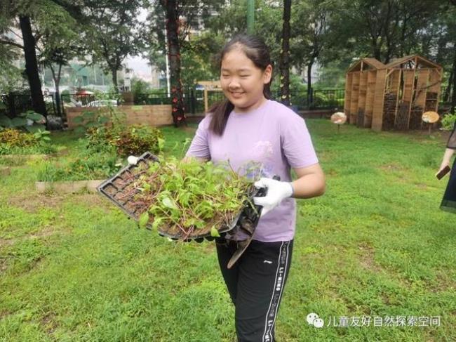 自然教育对幼儿成长教育的影响