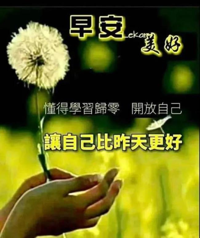 清晨的芬芳美句