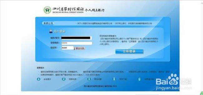 河南农村信用社查询余额怎么查