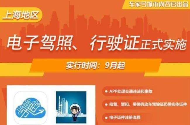 为什么贵州公安app看不见行驶证