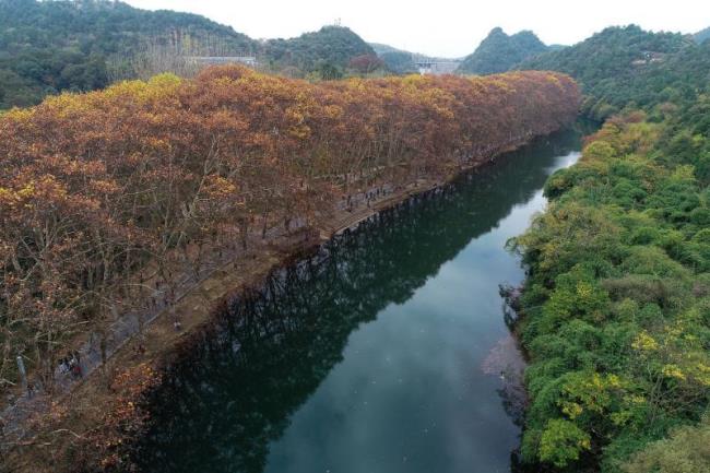 在贵阳花溪居住的真实感受