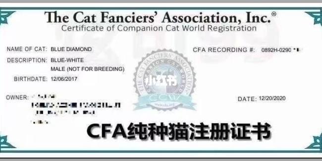 会计三大证书cfa