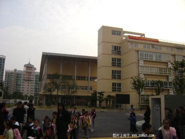 上海浦东有哪些双语小学