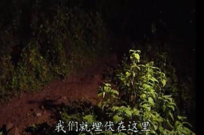 丝丝小雨后面怎么接