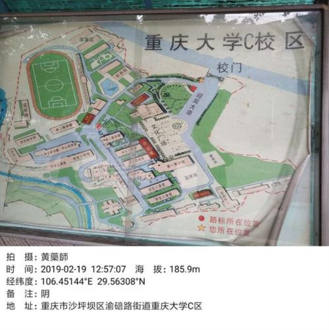 重庆大学沙坪坝校区有哪些专业