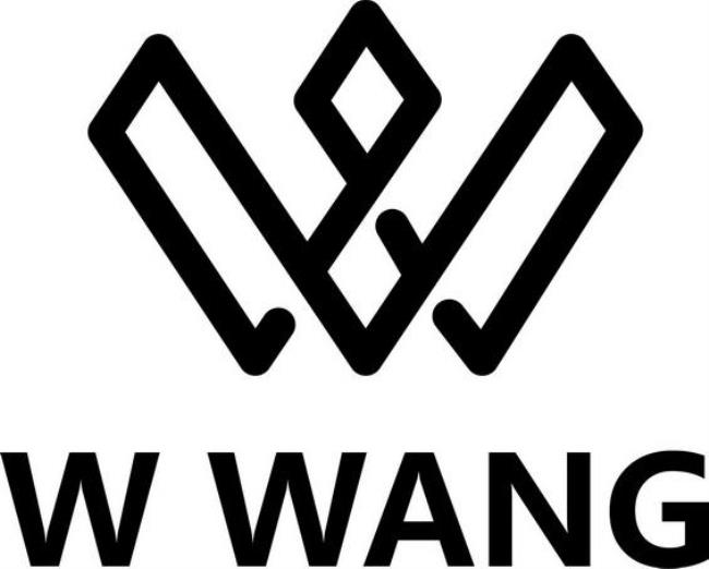 wang什么牌子logo