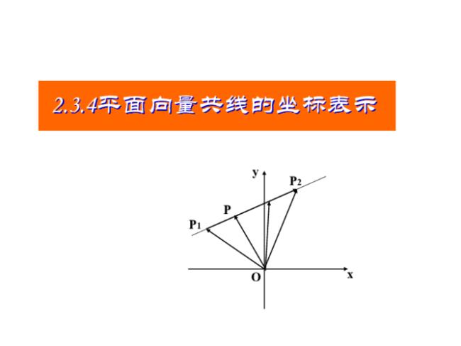 平行向量与共线向量的区别