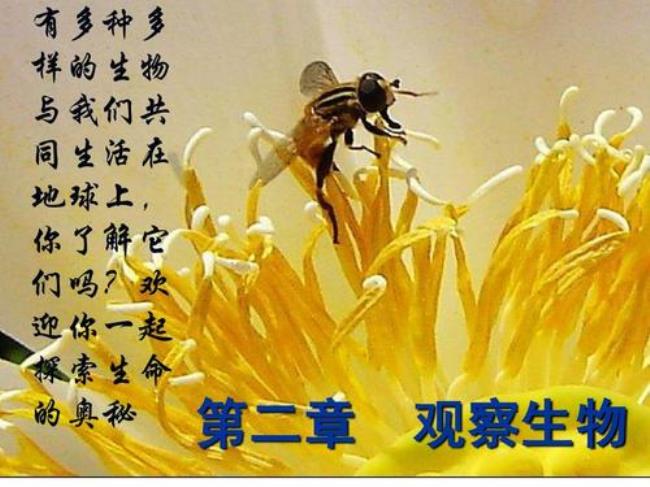 生物是科学吗