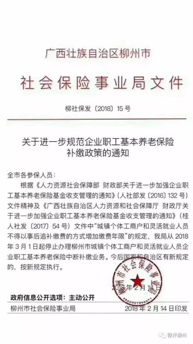 广西柳州灵活就业人员退休细则