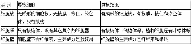 真核生物与原核生物的特点