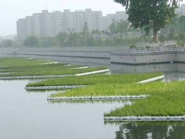 生态浮岛微生物土层的主要作用