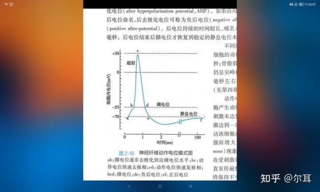 阈电位为什么比静息电位小