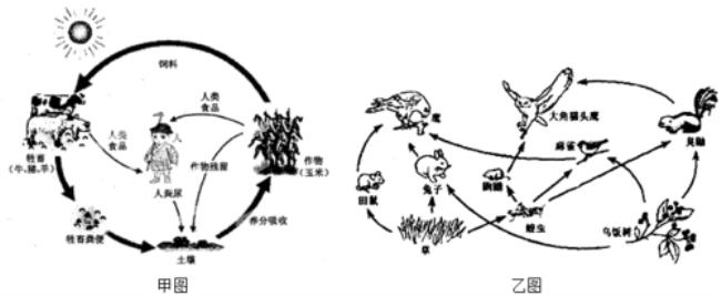 农业生态系统是什么